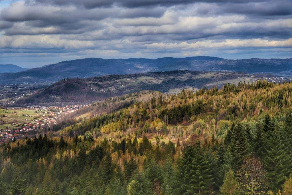 Trasa do wyciągu przy Hotelu Żywieckim (Jastrzębica)